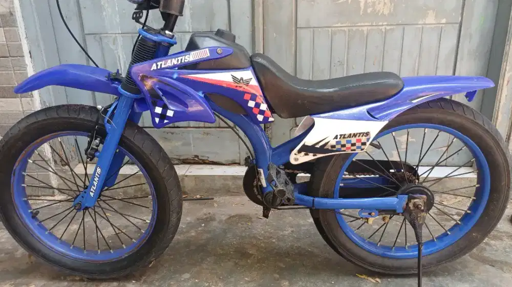 Sepeda anak tril ban 18