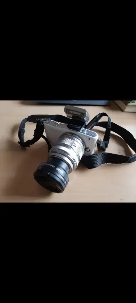 Kamera Mirrorless Olympus Pen Mini tipe E- PM1