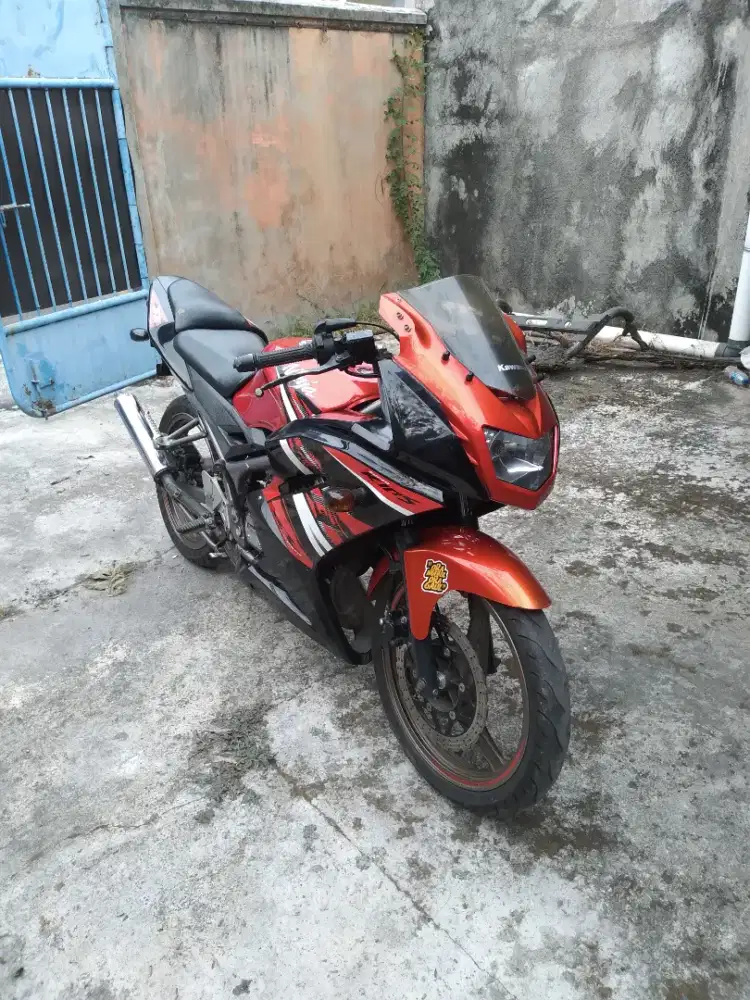 Ninja rr new 2015
