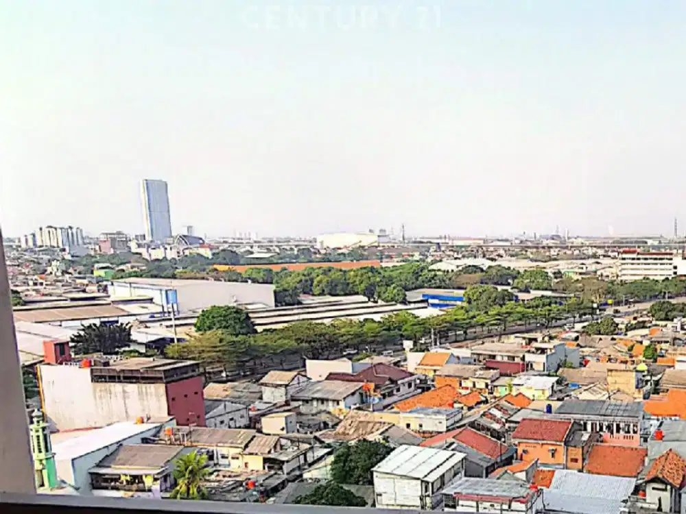 The Oak  Tower Rendah Pulogadung Jak Tim