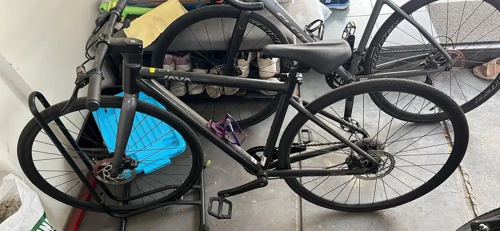 WTS java wahoo city size xs