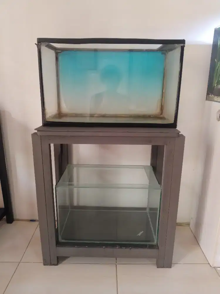 Akuarium dan Rak Ukuran 60cm