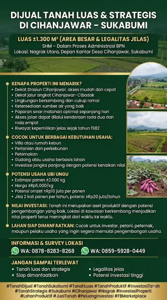 Tanah 1300 m depan Kantor Desa  Cihanjawar