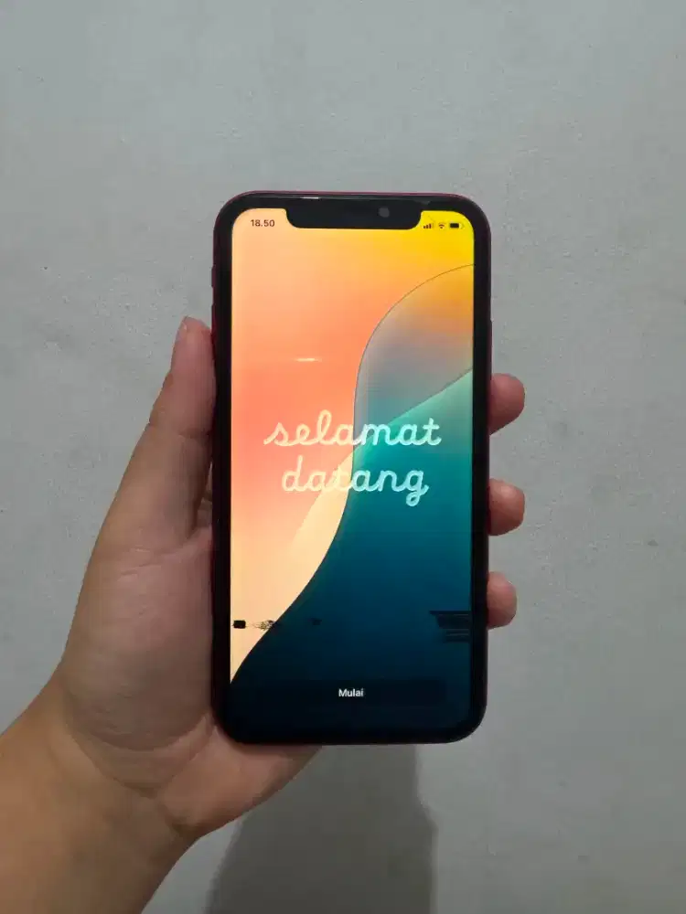 Iphone 11 64 gb ex inter