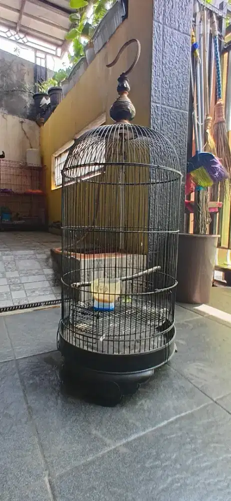 Kandang Kapsul Besi