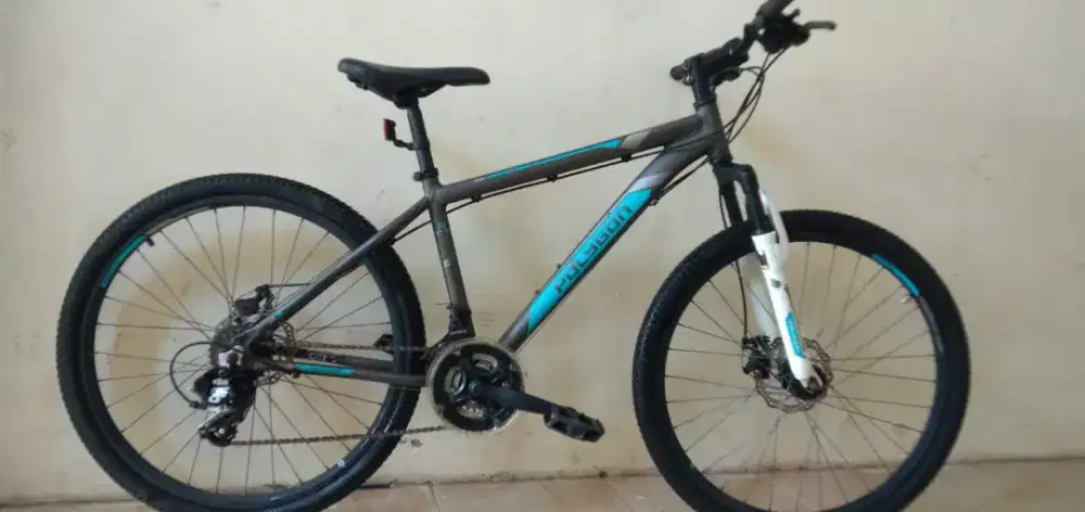 Dijual cepat murah sepada gunung polygon munurch 4 frame Aolly mulus