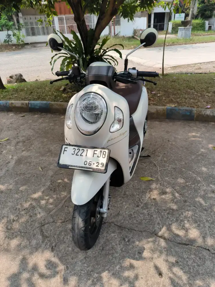Honda Scoopy prestige 2024