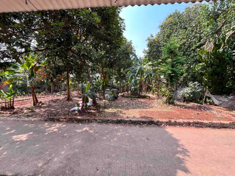 TANAH MURAH DAN STRATEGIS DI DESA PEDURENAN GUNUNG SINDUR BOGOR