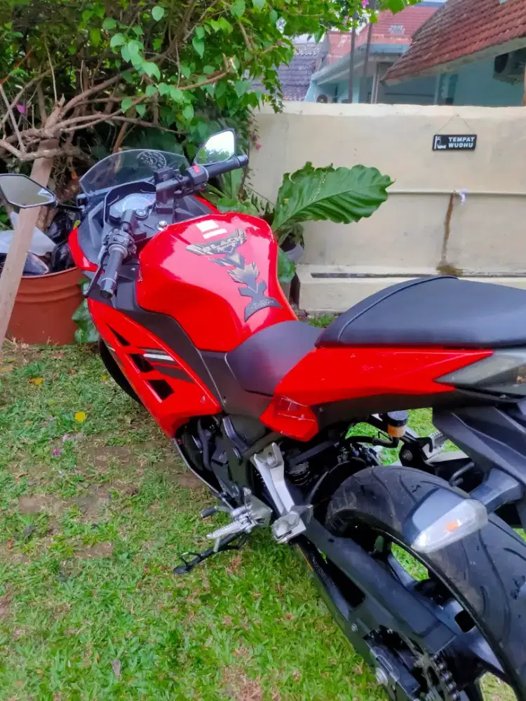 Ninja f1 250cc 2 cylinder