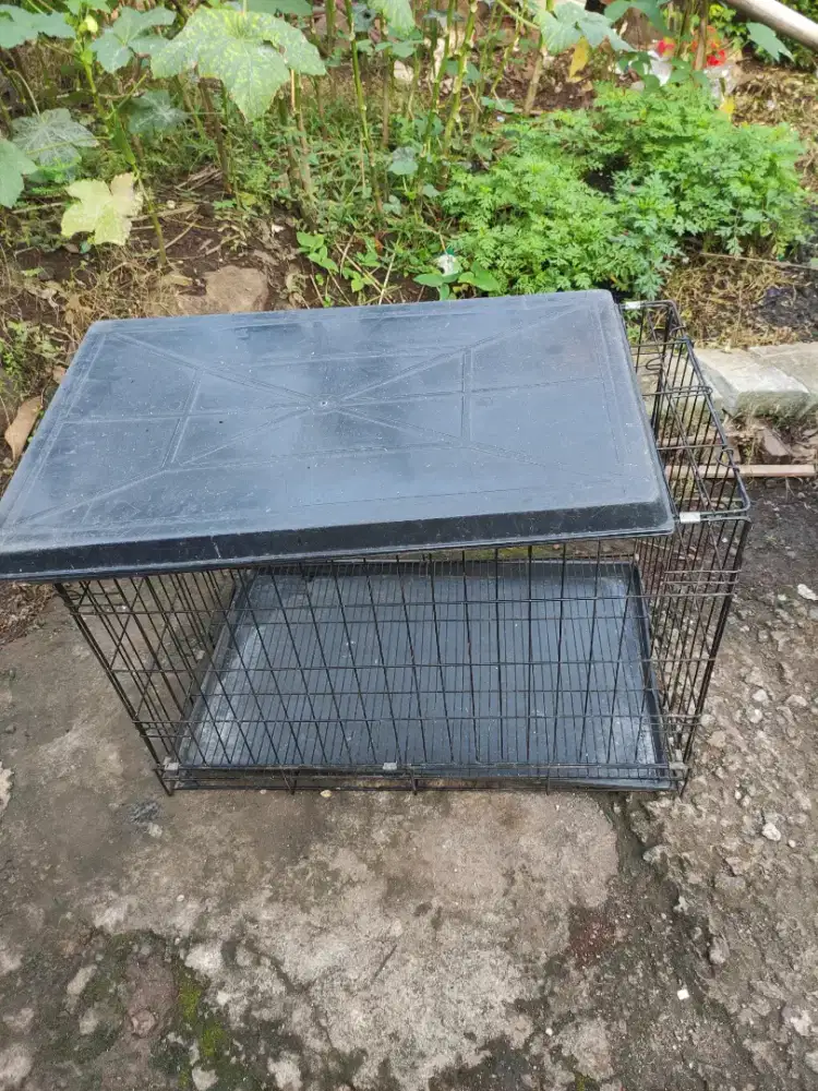 Dijual kandang kucing