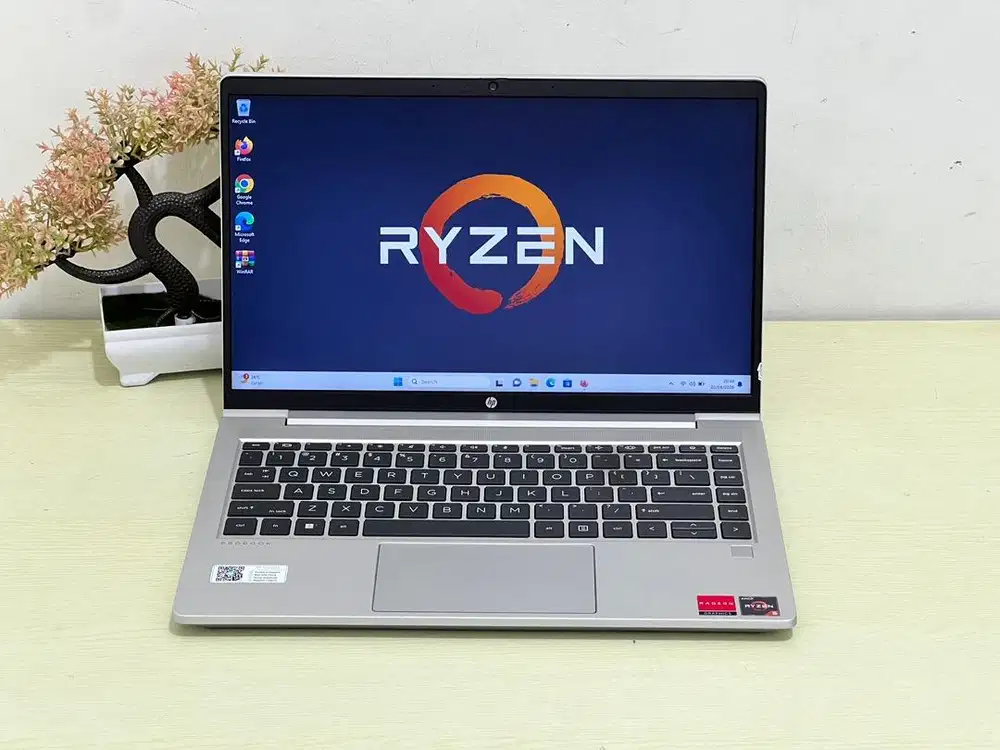 HP ProBook 445 G8 Ryzen 5-5600U 8/256 GB mulus No minus