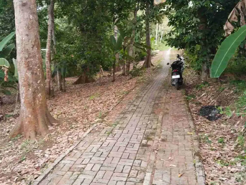 jual kebun duren akses mobil nempel kali