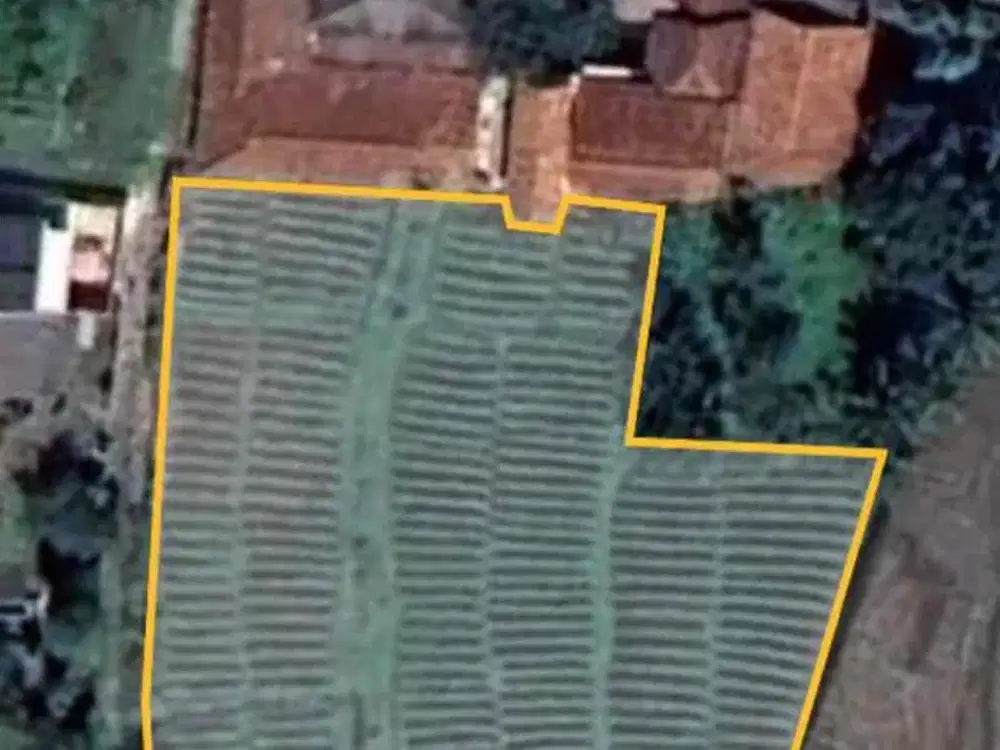 dijual tanah perkebunan di tenjolaya bogor