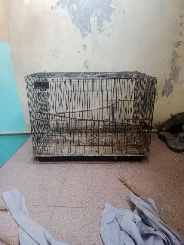 Kandang kotak jumbo