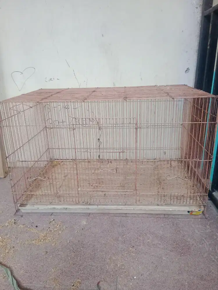 Kandang kotak ternak