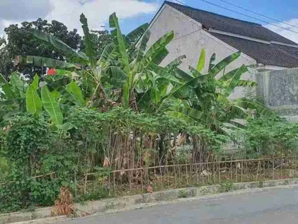 Tanah kosong dekat kampus Unu, UHB, Stikom Karanglesem Purwokerto Selatan