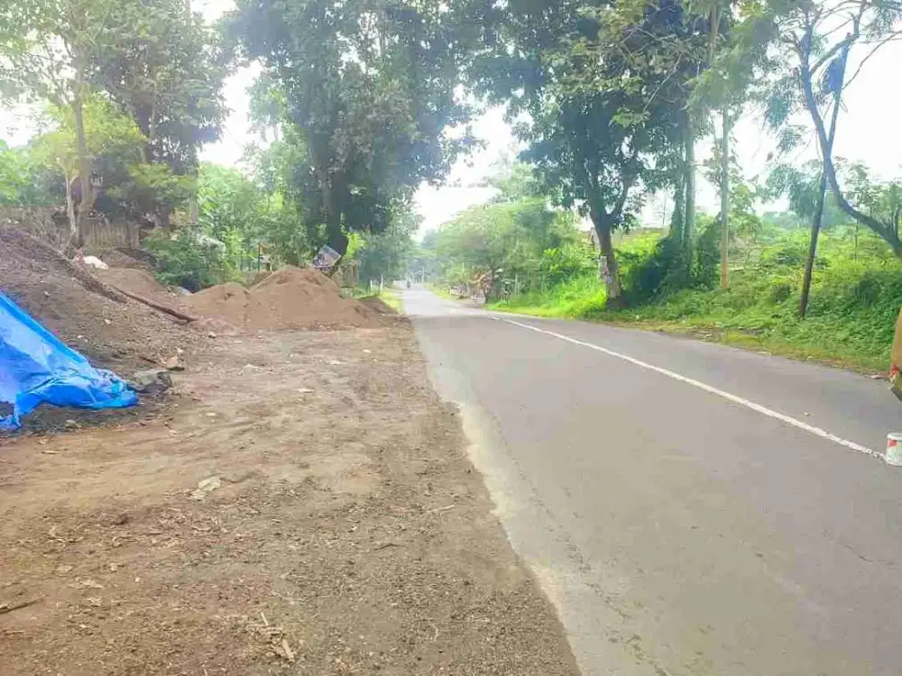Dijual tanah 2ha di Maesan Bondowoso