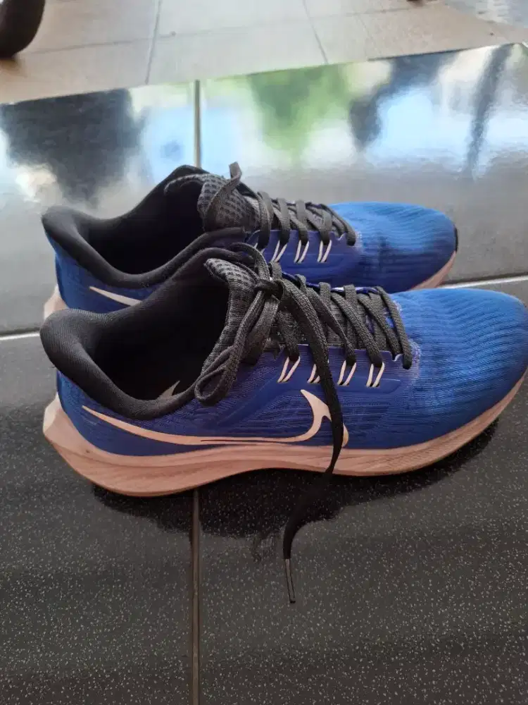Jual sepatu nike pegasus 39