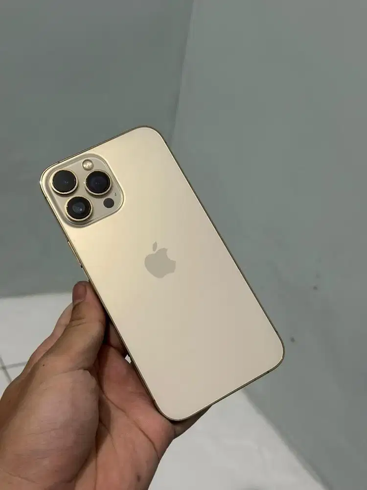 Iphone 13 Promax Beacukai