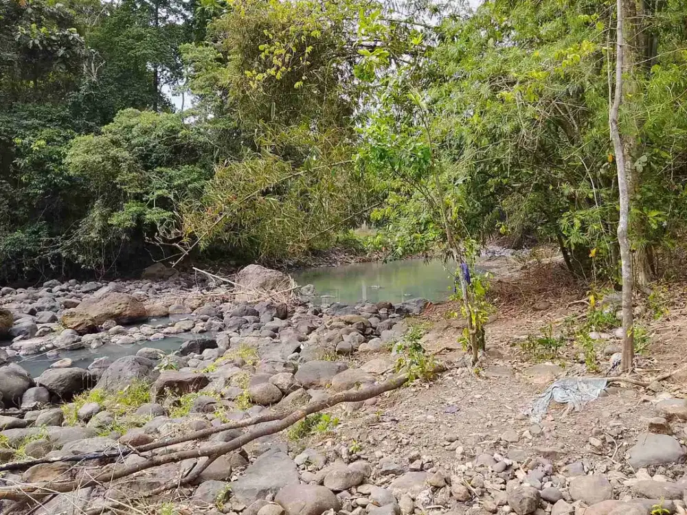 jual tanah murah di tabanan.los sungai 2800m2 hrga 125/ are/100m2