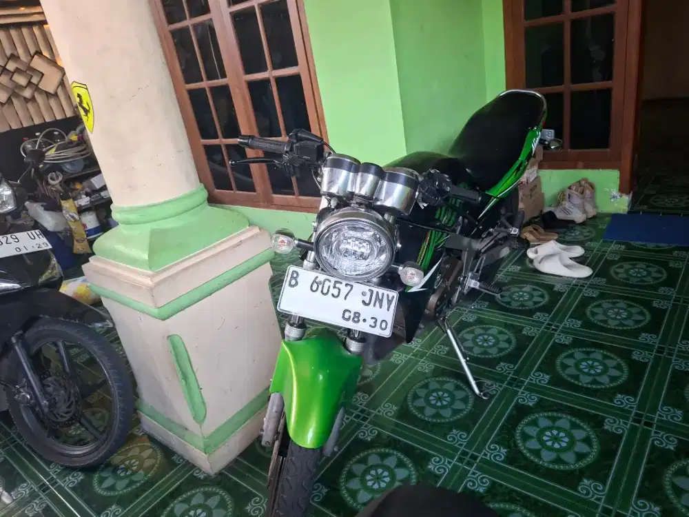 Ninja ss zebra 2014