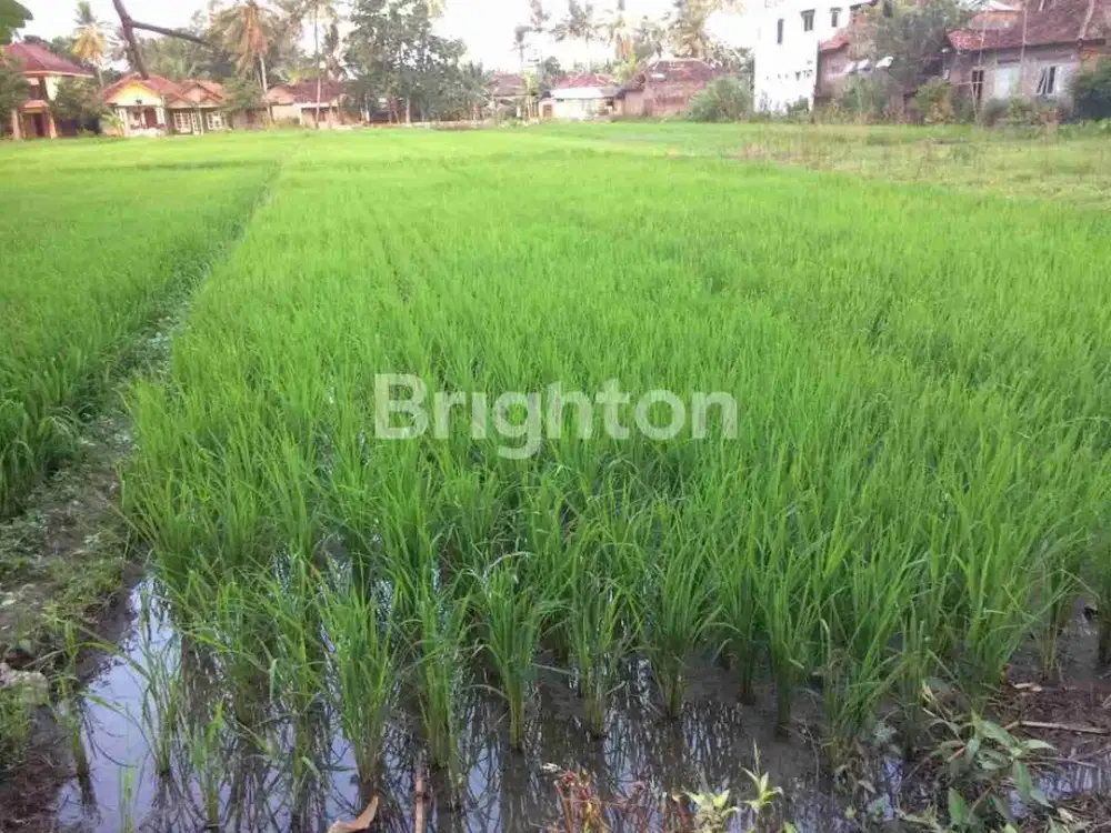 Investasi Tanah Luas 755 Patalan  Bantul Yogya