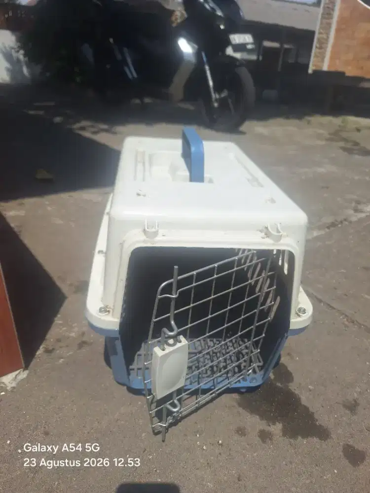 Pet Cargo/Tempat wadah kucing