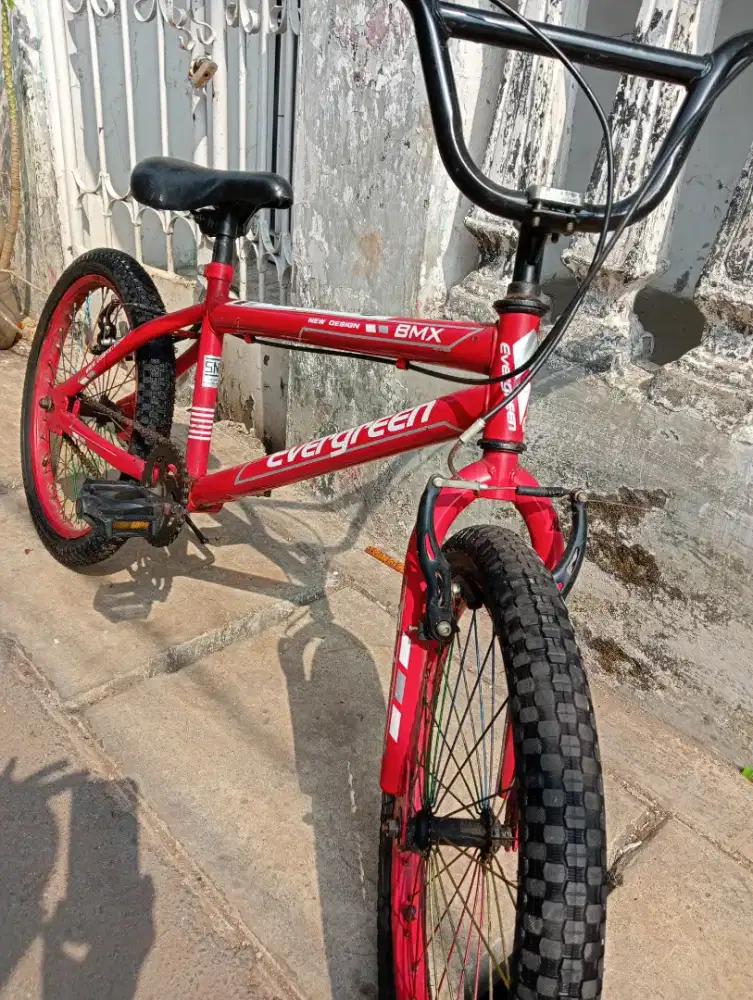 Sepeda Anak usia 8 tahun keatas