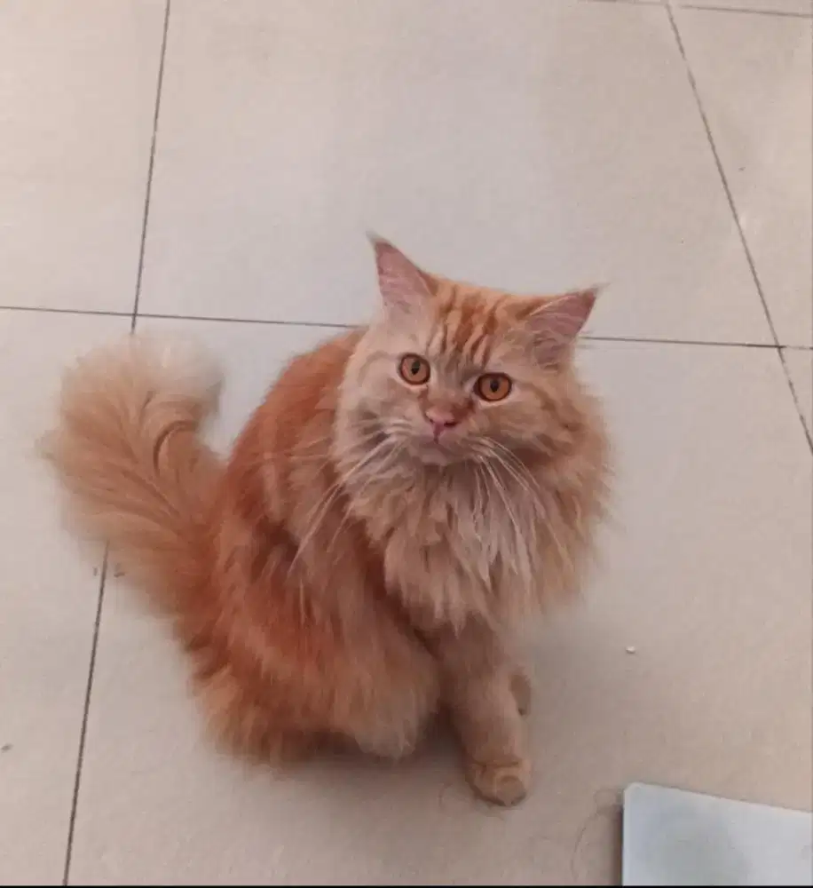 Cari kerjaan art paruh waktu