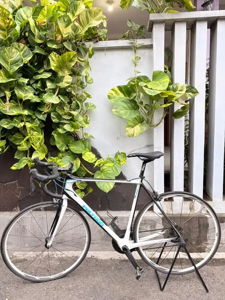 sepeda polygon helios C6.0