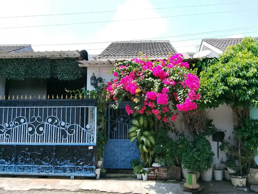 Disewakan rumah Pungging