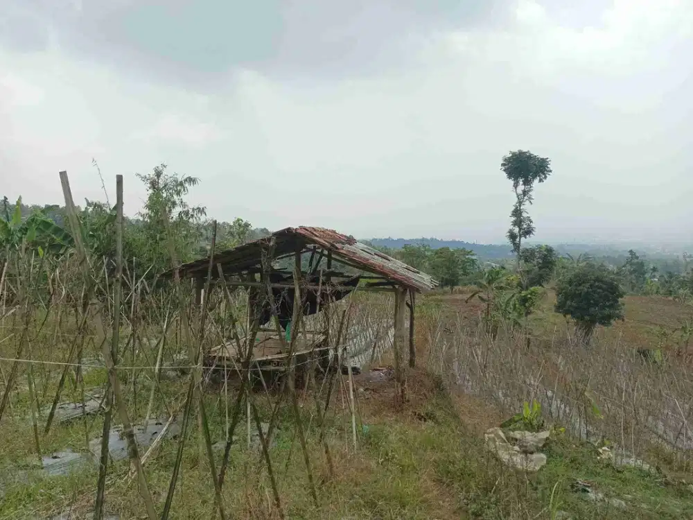 TANAH KEBUN 20.400 M² CIGOMBONG BOGOR – VIEW GUNUNG – 10 MENIT KE TOL – HARGA CUMA Rp285 RIBU/M²