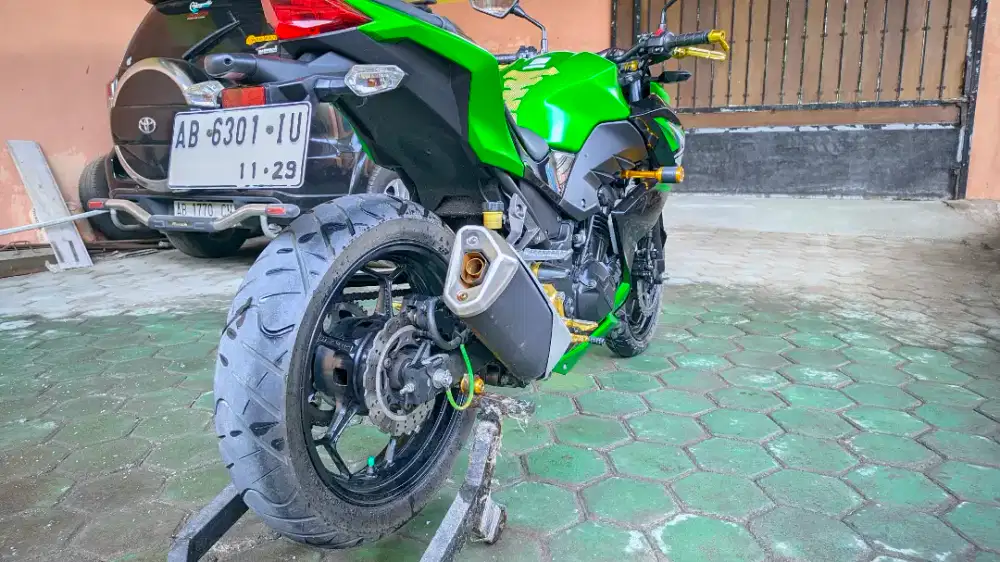 Kawasasi Ninja Z250 Naked