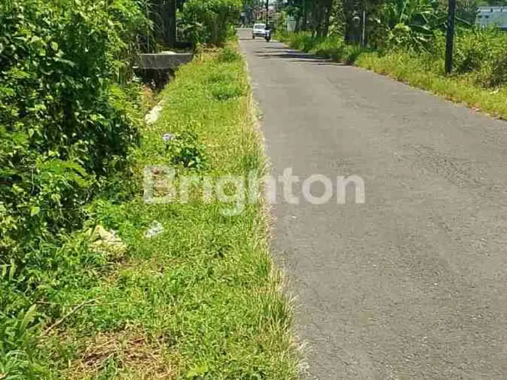 Tanah Luas 2713 Mt Jalan Parangtritis Km 20 Bantul Yogya