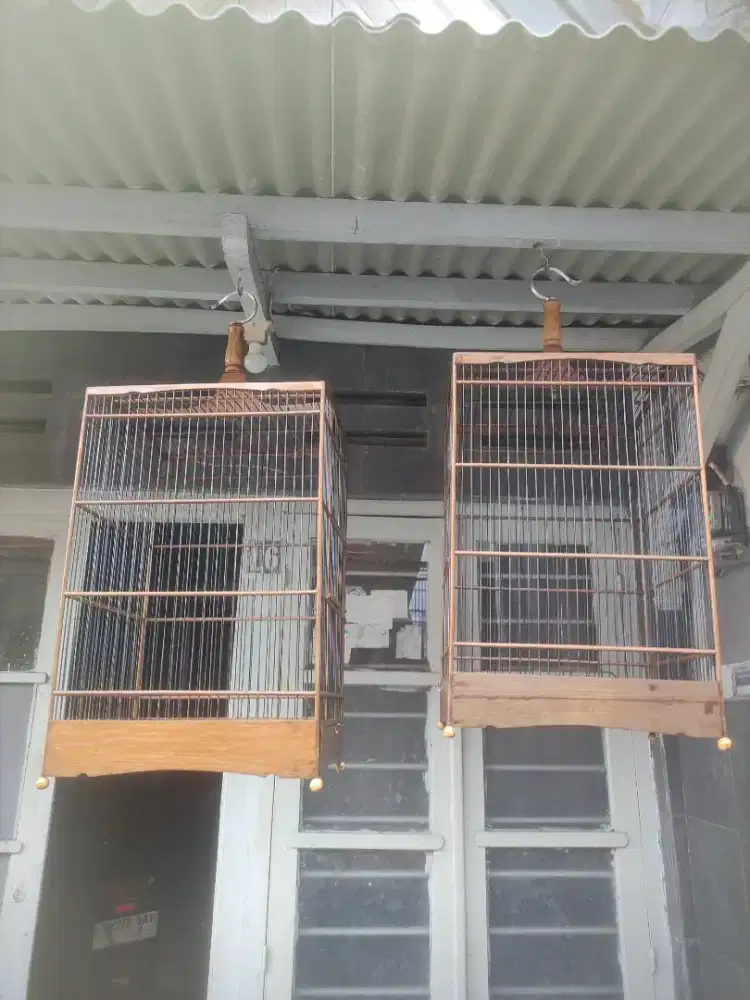 Sangkar nepak ukuran 35x40