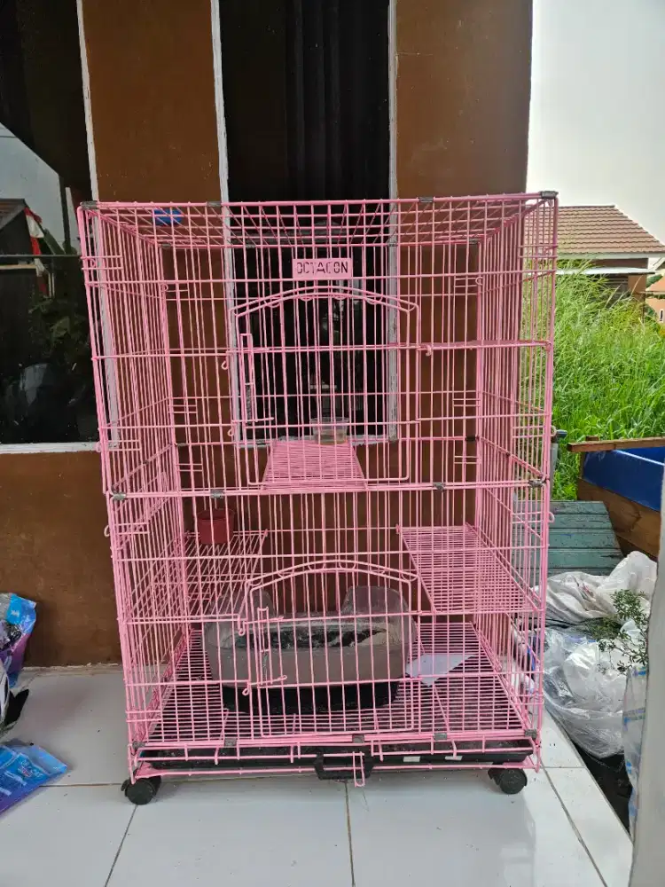 Kandang kucing ganal