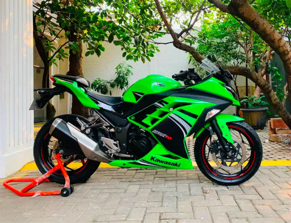 Kawasaki ninja 250 fi se