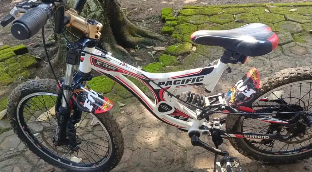 Sepeda Gunung Downhill Pacific X-track 20 Inc