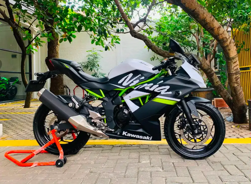 Kawasaki ninja 250 sl mono