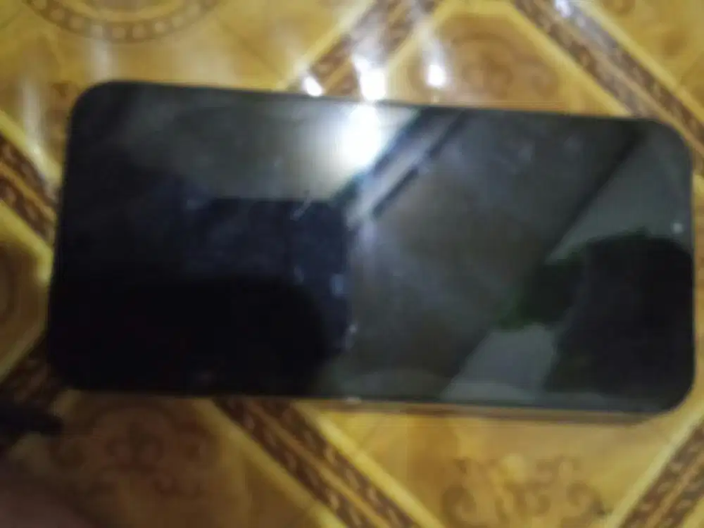 Iphone 13 pro max inter