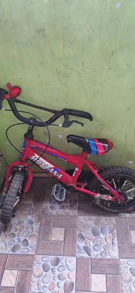 Sepeda anak anak