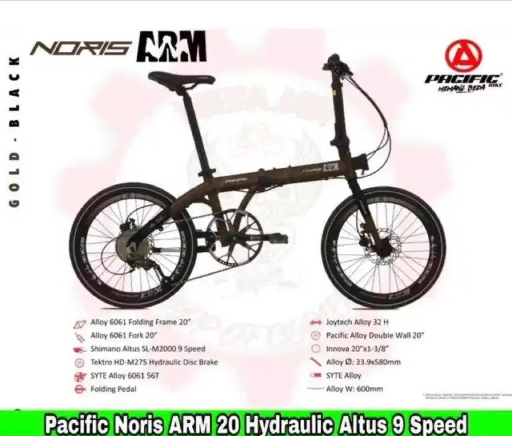 Sepeda pasific norris arm