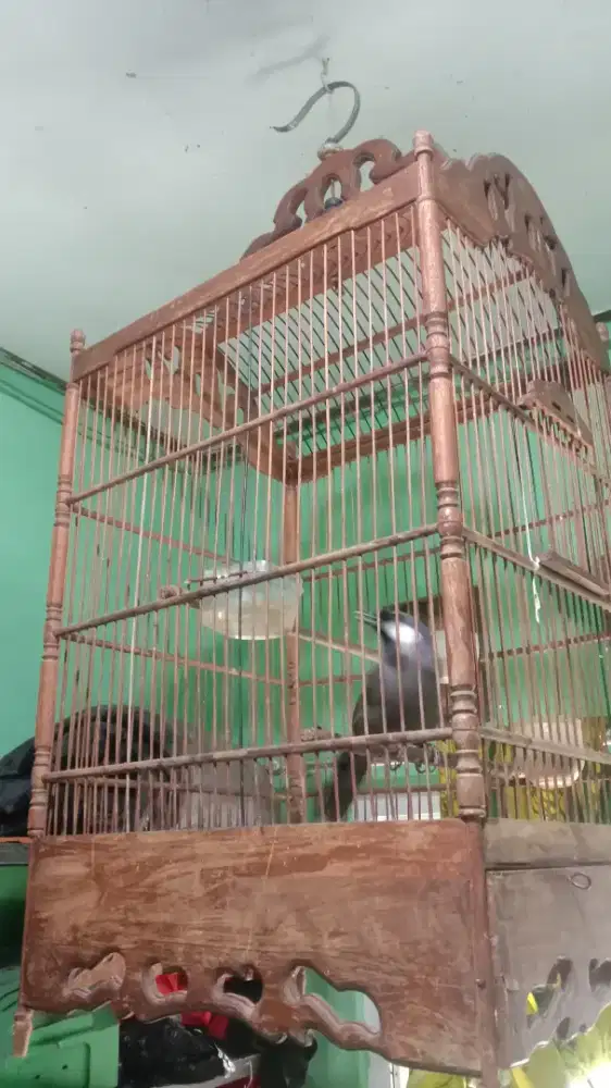 Teman ngopi diteras