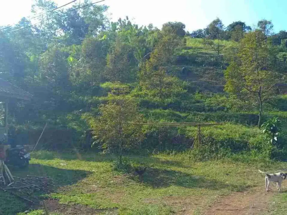 Dijual Murah Kebun Durian dan Alpukat di Desa Salem Pondoksalam Purwakarta