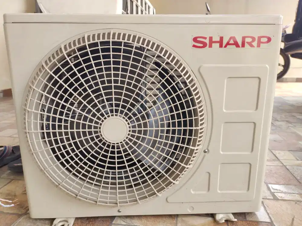 AC Sharp 1/2 PK Istimewa