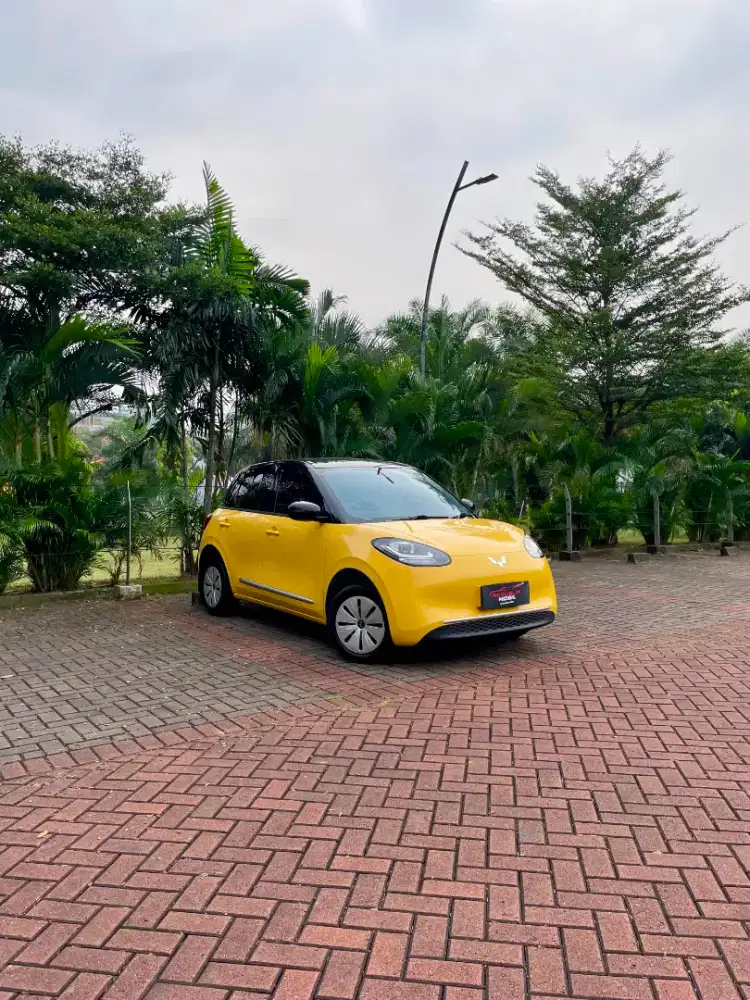 [FAV COLOR- RARE- DIJUAL MURAH AJA] WULING BINGUO LITE 2025