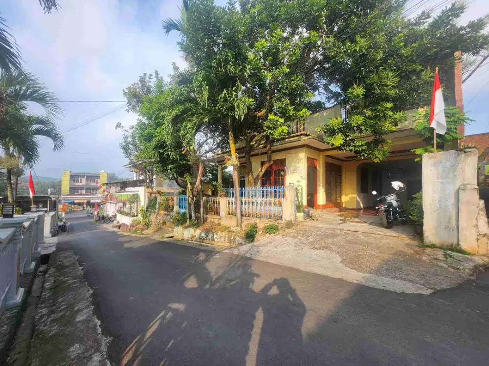 rumah dekat bambu kuning