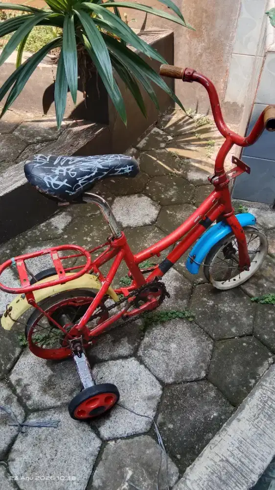 Sepedah anak kecil