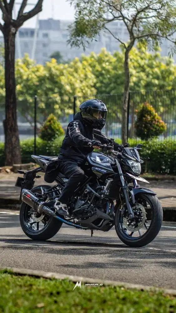 Yamaha MT25 2015