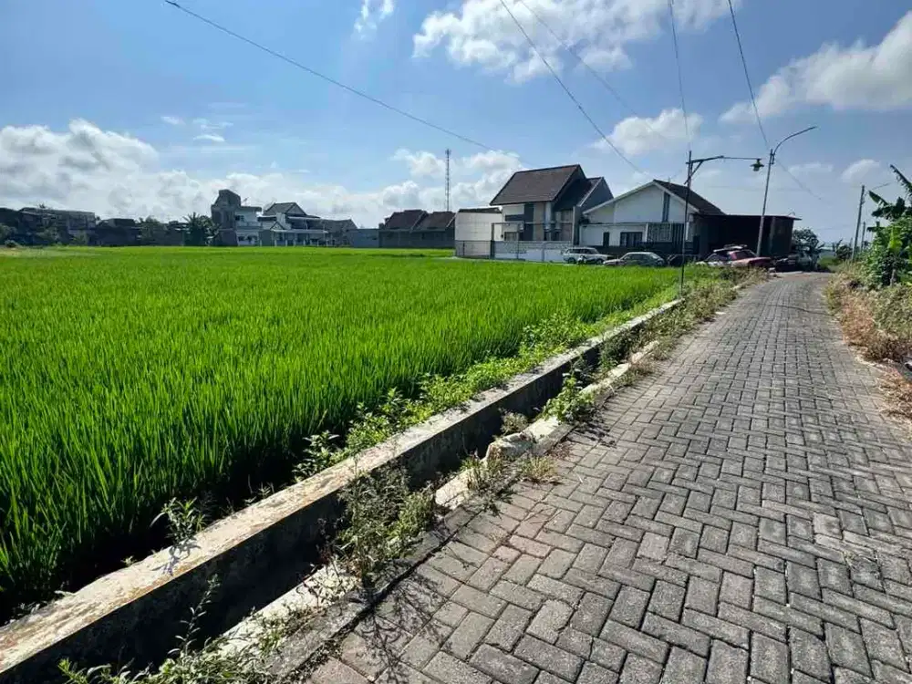 SAWAH SAMPING KAMPUS ITN2 malang